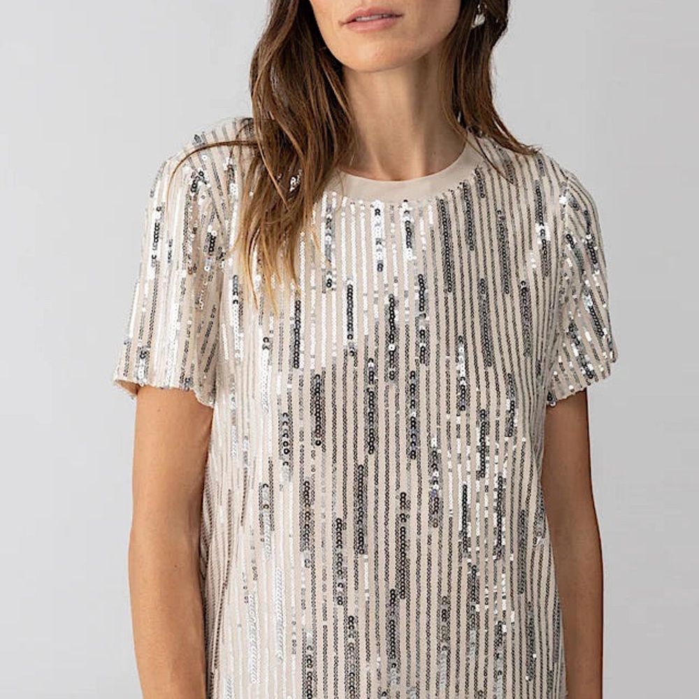 Sanctuary Sequin Stripe Short Sleeve Tee in Ivory and Silver